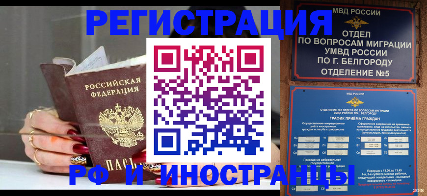 прописка в Зверево